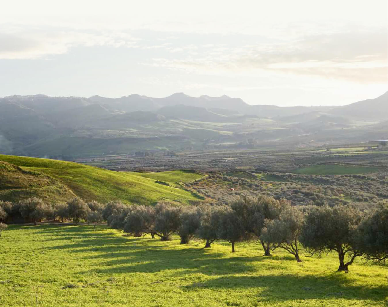 Valle del Belìce