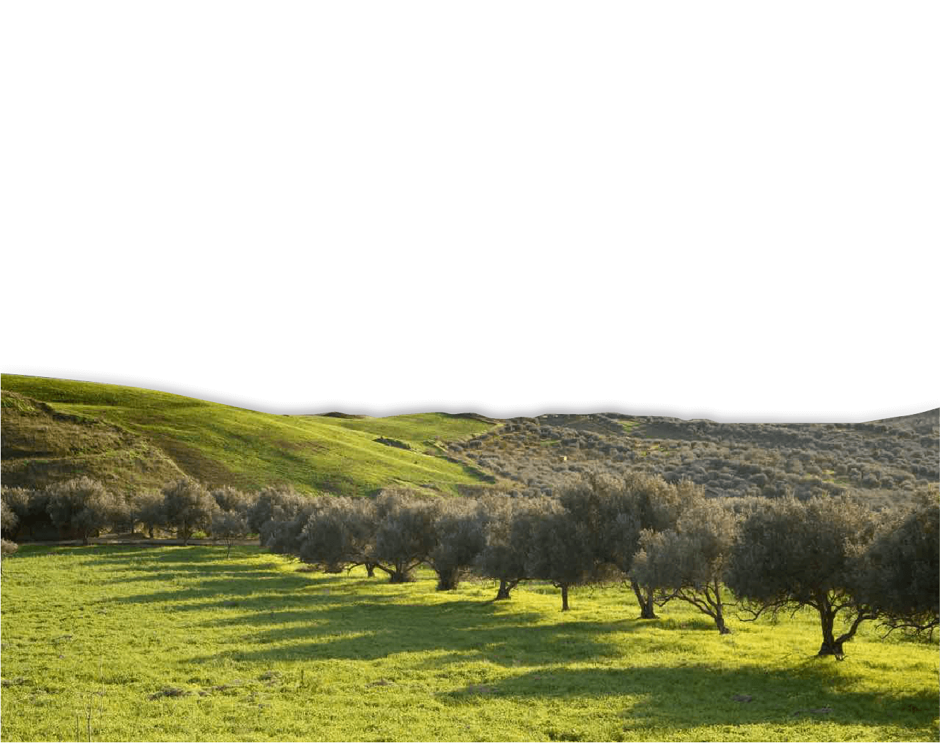 Valle del Belìce